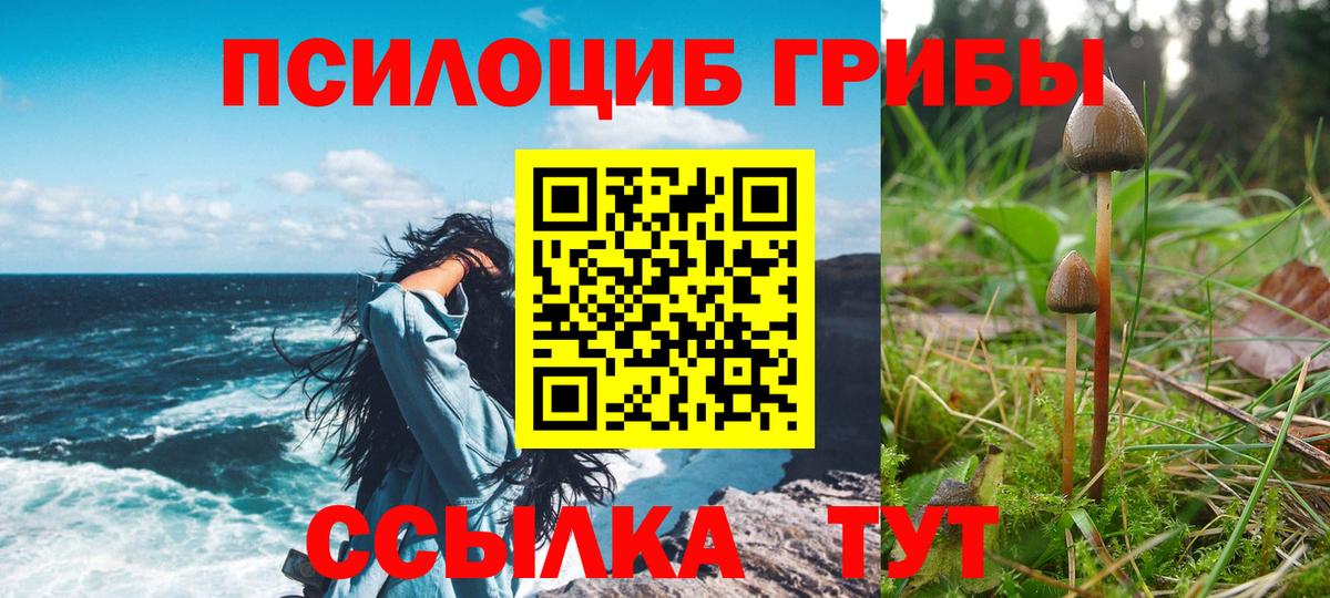 купить наркотик  Вход с VPN  Ступино  Псилоцибиновые грибы GOLDEN TEACHER  Псилоцибиновые грибы GOLDEN TEACHER 
