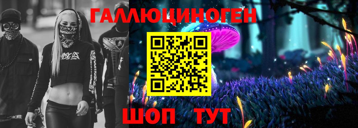 Псилоцибиновые грибы Psilocybe Ступино